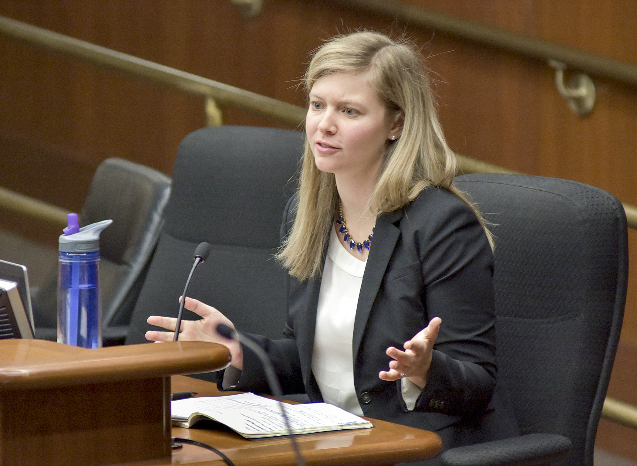 Sarah Sunderman, legislative analyst for the nonpartisan House Research Department, presents an overview of current state regulations of health-related occupations to the House Health and Human Services Reform Committee Jan. 24. Photo by Andrew VonBank